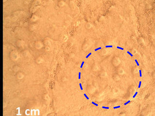 Concretions at 'Cumberland'