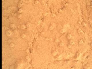 Concretions at 'Cumberland'