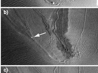 These examples of one distinctive type of Martian gullies, called "linear gullies," are on a dune in Matara Crater, seen at different times of year to observe changes.