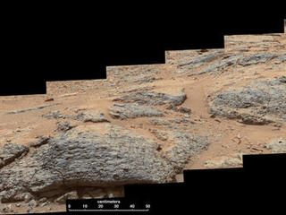 This mosaic view from the Mast Camera (Mastcam) on NASA's Mars rover Curiosity shows textural characteristics and shapes of an outcrop called "Point Lake."