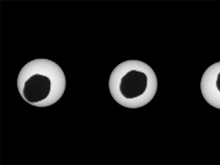 This set of three images shows views three seconds apart as the larger of Mars' two moons, Phobos, passed directly in front of the sun as seen by NASA's Mars rover Curiosity.