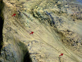 This image includes an especially long example of a type of dark marking that advances down some Martian slopes in warmer months and fades away in cooler months.