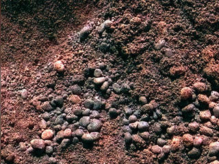 This is a look inside a soil trench or drift dubbed 'Serpent' after the rover successfully dug into the side of the drift.