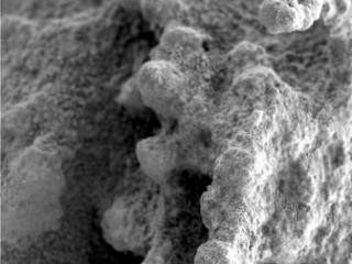 This close-up image taken by Spirit highlights the nodular nuggets that cover the rock dubbed "Pot of Gold."
