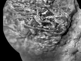 As NASA's Mars rover Curiosity is progressing toward Mount Sharp, researchers are using the rover's instruments to examine soils and rocks in Gale Crater.