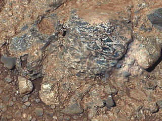 This view of a Martian rock target called "Harrison" merges images from two cameras on NASA's Curiosity Mars rover to provide both color and microscopic detail.