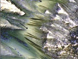 Dark, seasonal flows emanate from bedrock exposures at Palikir Crater on Mars in this image from the High Resolution Imaging Science Experiment (HiRISE) camera on NASA's Mars Reconnaissance Orbiter.