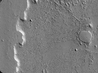 Ring and Cone Structures and Platy-Ridged Terrain in Amazonis Planitia