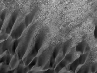 Aonia Terra Dune Field
