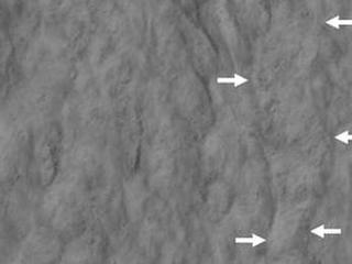 This pair of images covers one of many sites on Mars where researchers use the HiRISE camera on NASA's Mars Reconnaissance Orbiter to study changes in gullies on slopes.  Changes such as the ones visible in deposits near the lower end of this gully occur during winter and early spring on Mars.