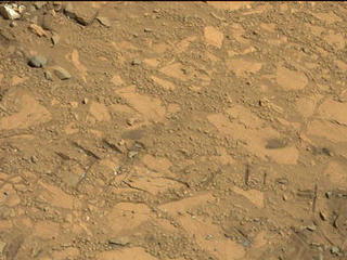 This image from the Mast Camera (Mastcam) on NASA's Curiosity Mars rover shows a portion of the pale rock outcrop that includes the "Bonanza King" target chosen for evaluation as the mission's fourth rock-drilling site.