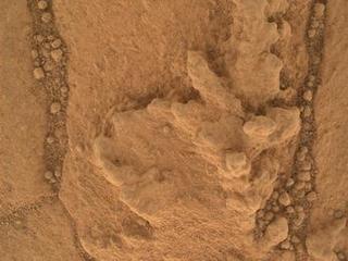 This image from the Mars Hand Lens Imager (MAHLI) camera on NASA's Curiosity Mars rover shows an example of a type of geometrically distinctive feature that researchers are examining at a mudstone outcrop at the base of Mount Sharp.
