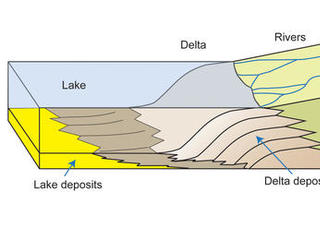 This diagram depicts rivers entering a lake. Where the water's flow decelerates, sediments drop out, and a delta forms, depositing a prism of sediment that tapers out toward the lake's interior. Progressive build-out of the delta through time produces sediments inclined toward the lake body.