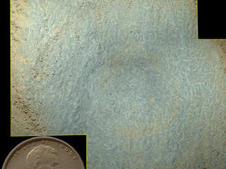 Lozenge-shaped crystals are evident in this magnified view of a Martian rock target called "Mojave," taken on Nov. 15, 2014, by the Mars Hand Lens Imager on the arm of NASA's Curiosity Mars rover. These features record concentration of dissolved salts, possibly in a drying lake.