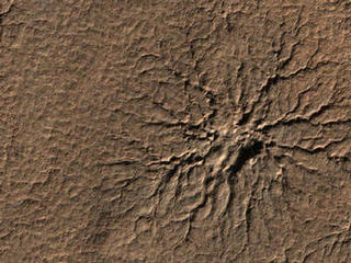 What appear to be spiders scampering across the martian landscape are actually cracks in the surface of the southern polar region on Mars, seen by the Mars Reconnaissance Orbiter on August 23, 2009.  Caused as carbon dioxide ice evaporates and escapes into the atmosphere, there is no escaping that these "araneiform" features look like our 8 legged friends!