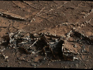 This March 18, 2015, view from the Mast Camera on NASA's Curiosity Mars rover shows a network of two-tone mineral veins at an area called "Garden City" on lower Mount Sharp.