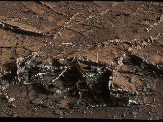 This March 18, 2015, view from the Mast Camera on NASA's Curiosity Mars rover shows a network of two-tone mineral veins at an area called "Garden City" on lower Mount Sharp.