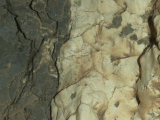 This view from the Mars Hand Lens Imager on the arm of NASA's Curiosity Mars rover is a close-up of a two-tone mineral vein at a site called "Garden City" on lower Mount Sharp. It was taken during night, illuminated by LEDs, on March 25, 2015.