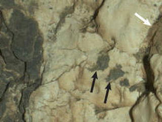 This view from the Mars Hand Lens Imager on the arm of NASA's Curiosity Mars rover is a close-up of a two-tone mineral vein at a site called "Garden City" on lower Mount Sharp. It was taken during night, illuminated by LEDs, on March 25, 2015.