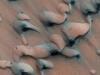 This image shows dunes near the north pole of Mars. The north pole is surrounded by a vast "sea" of basaltic sand dunes, and the dunes imaged here are similar to barchan dunes that are commonly found in desert regions on Earth.