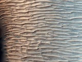 This HiRISE image shows a valley filled with an assortment of linear ridges. These ridges are often referred to as transverse aeolian ridges, or TAR, and they take a variety of forms.