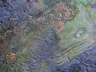 This view combines information from two instruments on a NASA Mars orbiter to map color-coded composition over the shape of the ground within the Nili Fossae plains region of Mars. Carbonate-rich deposits in this area (coded green) hold some carbon formerly in the atmosphere's carbon dioxide.