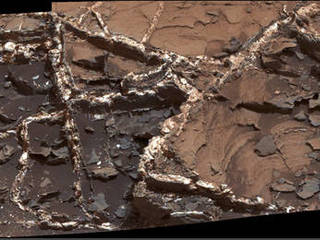 Prominent mineral veins at the "Garden City" site examined by NASA's Curiosity Mars rover vary in thickness and brightness, as seen in this image from Curiosity's Mast Camera (Mastcam). The image covers and area roughly 2 feet across.