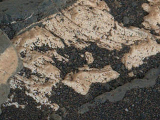 This view from the Mars Hand Lens Imager (MAHLI) on the arm of NASA's Curiosity Mars rover shows texture within a light-toned vein at a site called "Garden City" on lower Mount Sharp.