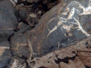Light material emplaced within darker vein material is seen in this view of a mineral vein at the "Garden City" site on lower Mount Sharp, Mars.  The Mars Hand Lens Imager (MAHLI) on the arm of NASA's Curiosity Mars Rover took the image on April 4, 2015. The area shown is roughly 0.4 inch wide.