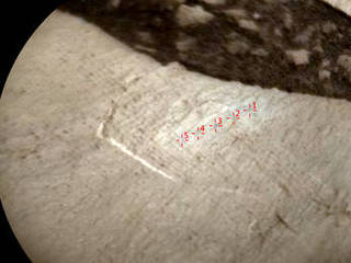 This image from the Chemistry and Camera (ChemCam) instrument on NASA's Curiosity Mars rover shows detailed texture of a rock target called "Elk" on Mars' Mount Sharp, revealing laminations that are present in much of the Murray Formation geological unit of lower Mount Sharp.