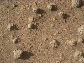 This view shows nodules exposed in sandstone that is part of the Stimson geological unit on Mount Sharp, Mars.  The nodules can be seen to consist of grains of sand cemented together.