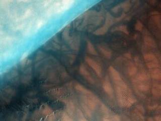 The Russell Crater dune field is covered seasonally by carbon dioxide frost, and this image shows the dune field after the frost has sublimated (evaporated directly from solid to gas).