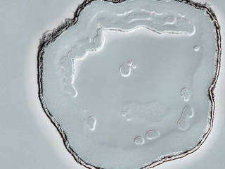 Dry ice causes "Swiss Cheese" terrain on Mars.