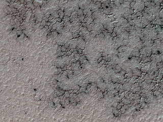 This image shows spidery channels eroded into Martian ground. It is a Sept. 12, 2016, example from HiRISE camera high-resolution observations of more than 20 places that were chosen in 2016 on the basis of about 10,000 volunteers' examination of Context Camera lower-resolution views of larger areas.