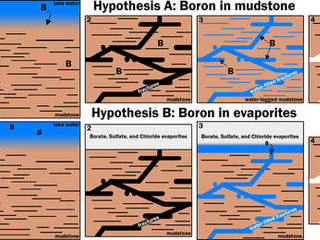 This graphic portrays two hypotheses about how the element boron ended up in calcium sulfate veins found within mudstone layers of Mars' lower Mount Sharp.