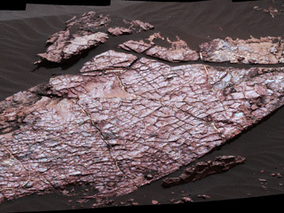This view of a Martian rock slab called "Old Soaker," which has a network of cracks that may have originated in drying mud, comes from the Mast Camera (Mastcam) on NASA's Curiosity Mars rover. It was taken on Dec. 20, 2016. The slab is about 4 feet long.