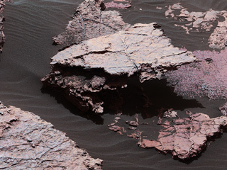 A grid of small polygons on the Martian rock surface near the right edge of this view may have originated as cracks in drying mud more than 3 billion years ago. Multiple Dec. 20, 2016, images from the Mastcam on NASA's Curiosity Mars rover were combined for this view of a rock called "Squid Cove."
